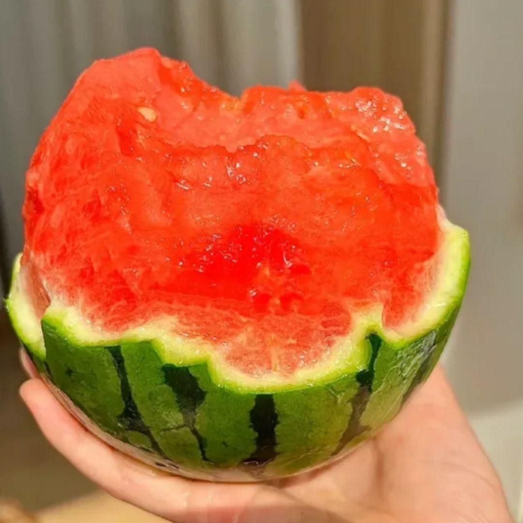Potted Watermelon Seeds