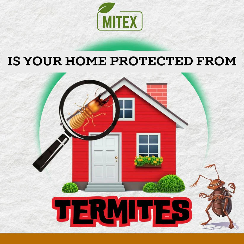 Termite Killer Spray 150ML Pack of 3